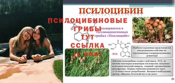 ПСИЛОЦИБИНОВЫЕ ГРИБЫ Ханты-Мансийск