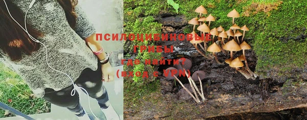 прущая мука Среднеколымск