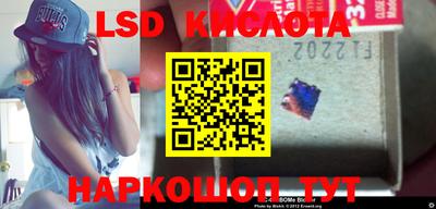 стаф Берёзовский