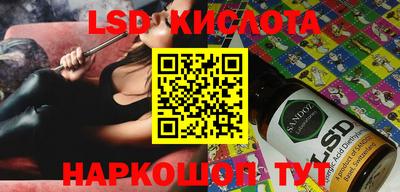 стаф Берёзовский