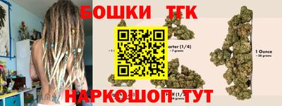 стаф Берёзовский