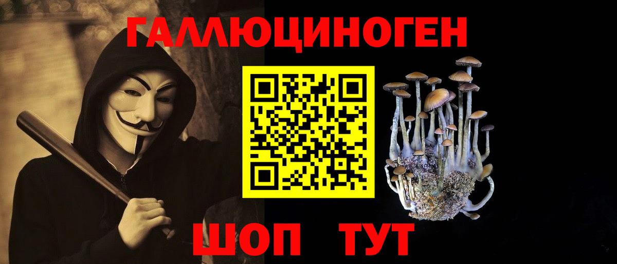 Псилоцибиновые грибы Psilocybe  Псилоцибиновые грибы мицелий  Вход с VPN  Новосибирск 